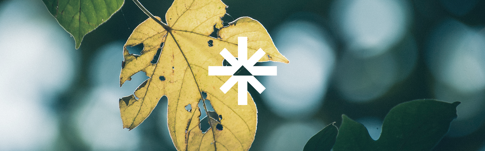 Sustainability with Impact: Why Premium Means Responsible