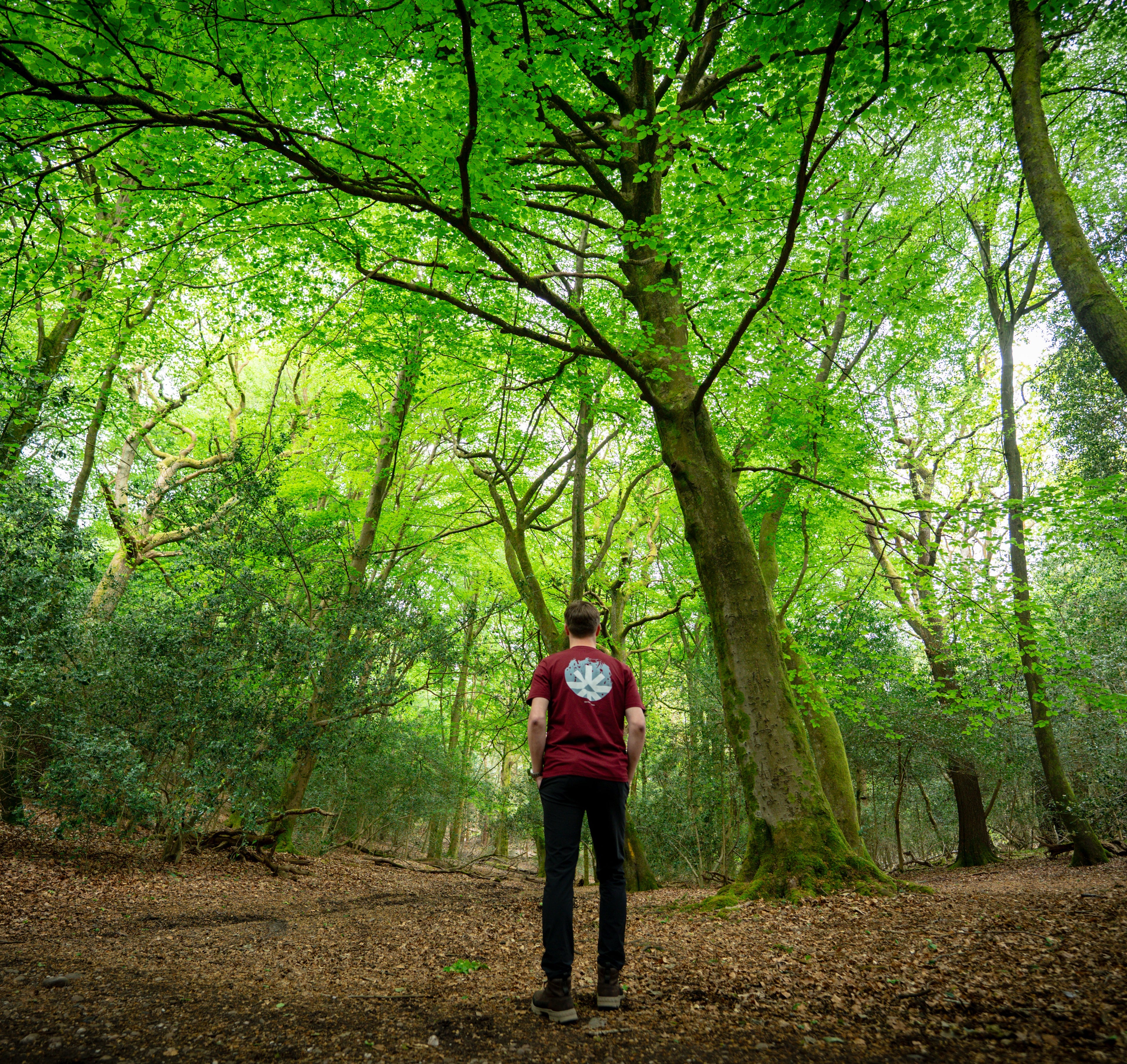 The High Ridge Mud Tee