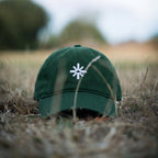 The L.M.O.M Everyday Cap | Forest Green